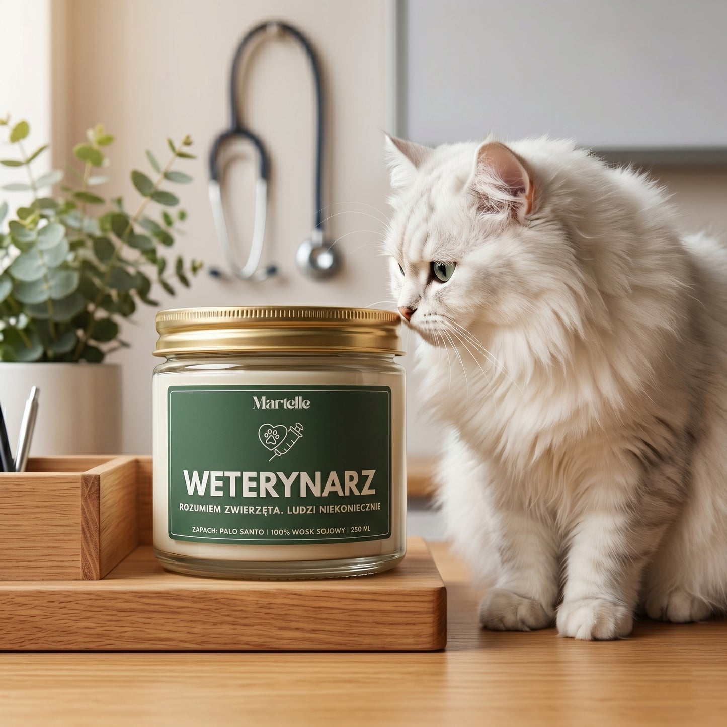 Weterynarz  - świeca sojowa (250 ml)